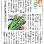 西日本新聞元気のレシピコラム